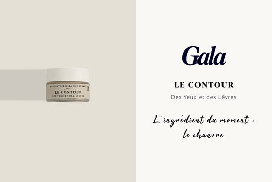 Le Contour des Yeux et des Lèvres dans Gala